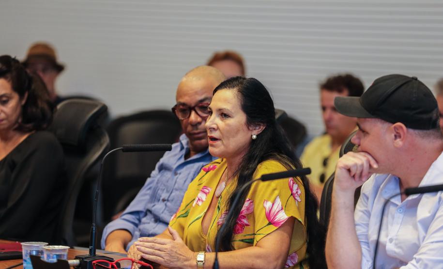 Estado discute com classe artística e cultural política para o setor