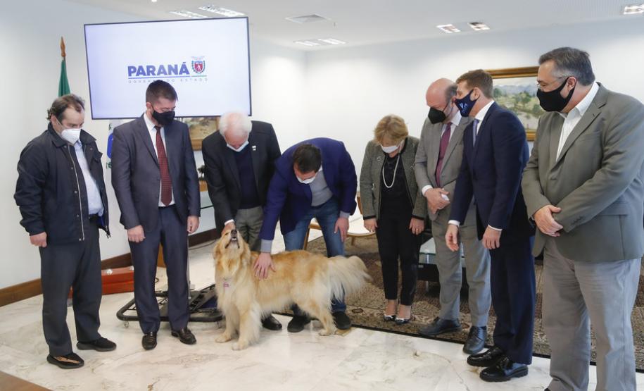 Por intermédio do Estado, TCE destina R$ 18 milhões para apoiar vacina da UFPR