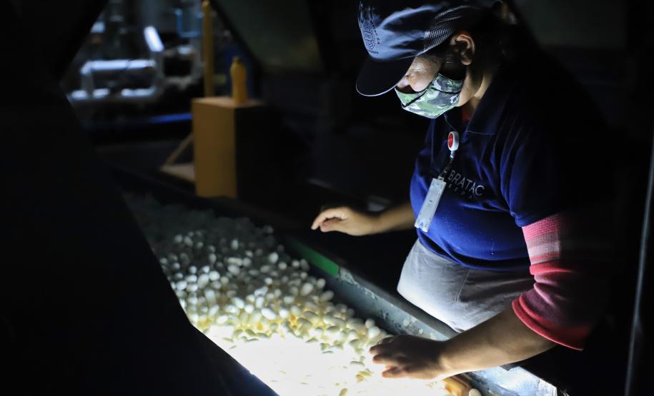 Em Londrina, Darci Piana reforça apoio do Estado à cadeia produtiva da seda