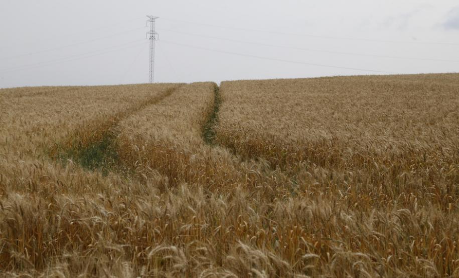 Piana anuncia investimentos de R$ 9,1 milhões a Nova Esperança do Sudoeste