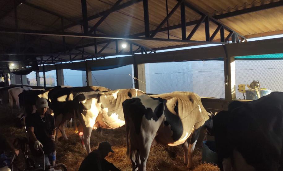 Estado participa da abertura da ExpoFrísia, uma das maiores feiras da pecuária leiteira do País