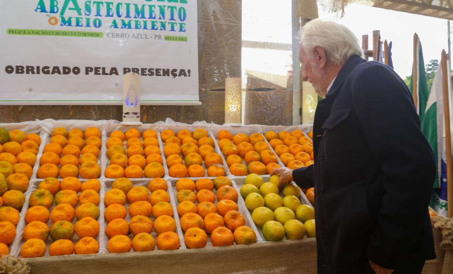 Piana destaca atuação do Estado para impulsionar a produção de ponkan em Cerro Azul