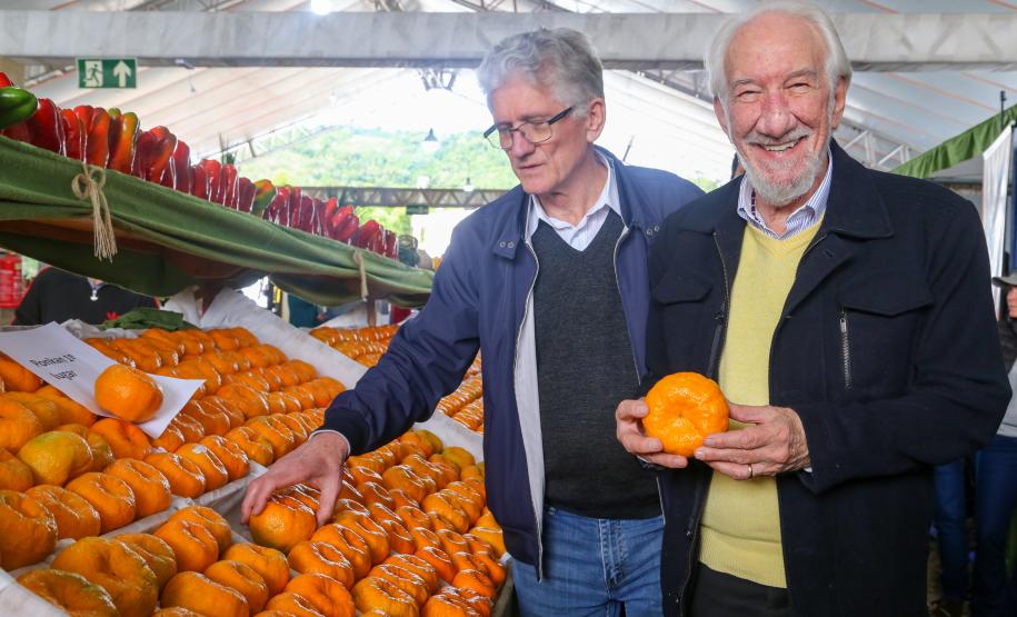 Piana destaca atuação do Estado para impulsionar a produção de ponkan em Cerro Azul