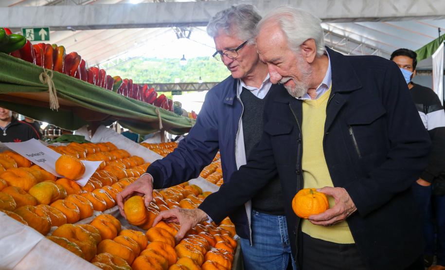 Piana destaca atuação do Estado para impulsionar a produção de ponkan em Cerro Azul