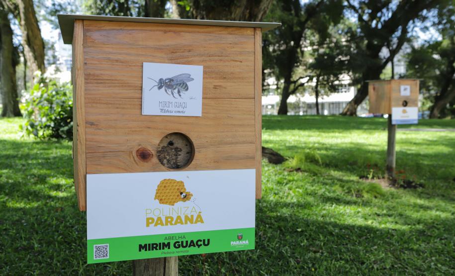 Jardim do Palácio Iguaçu ganha colmeias de abelhas nativas e horta orgânica