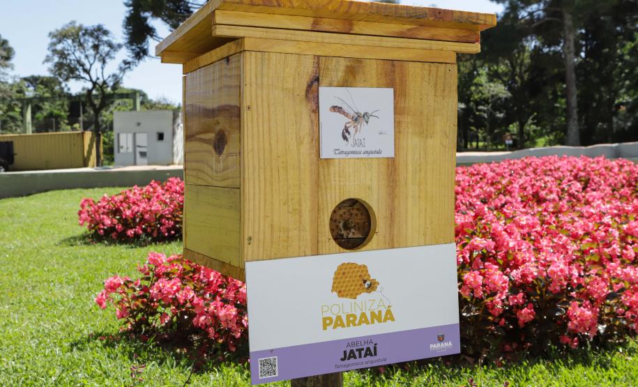 Jardim do Palácio Iguaçu ganha colmeias de abelhas nativas e horta orgânica