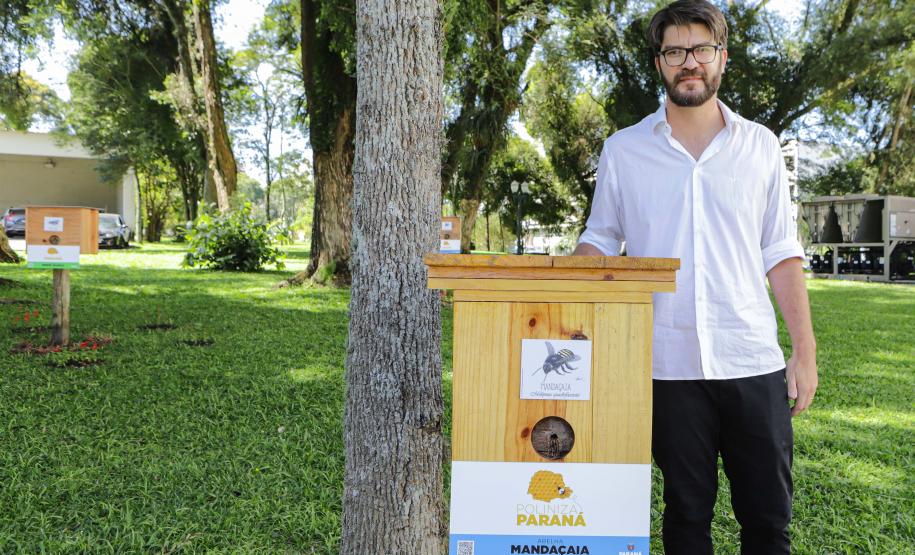 Jardim do Palácio Iguaçu ganha colmeias de abelhas nativas e horta orgânica