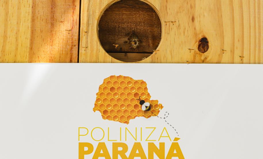 Jardim do Palácio Iguaçu ganha colmeias de abelhas nativas e horta orgânica