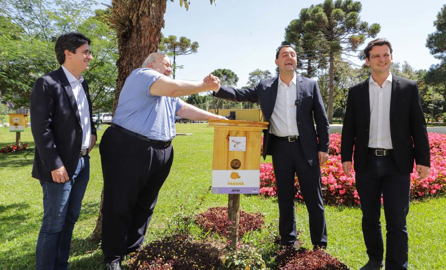 Jardim do Palácio Iguaçu ganha colmeias de abelhas nativas e horta orgânica