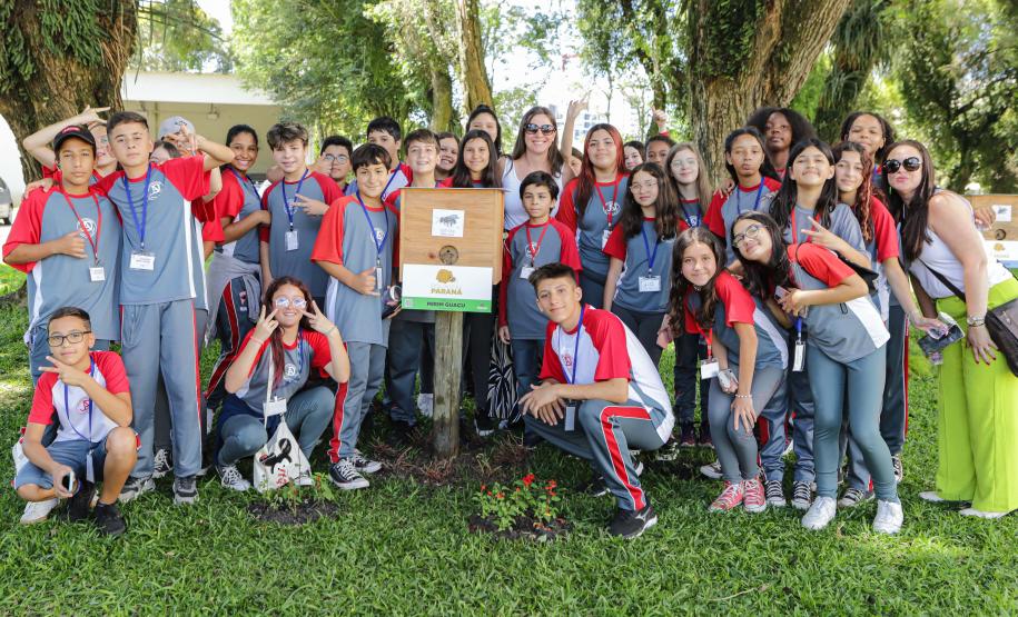 Jardim do Palácio Iguaçu ganha colmeias de abelhas nativas e horta orgânica