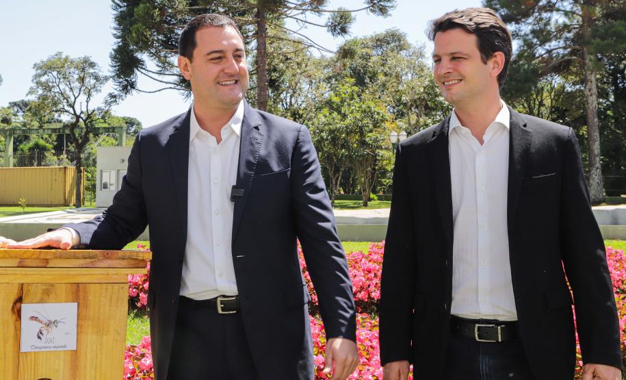 Jardim do Palácio Iguaçu ganha colmeias de abelhas nativas e horta orgânica