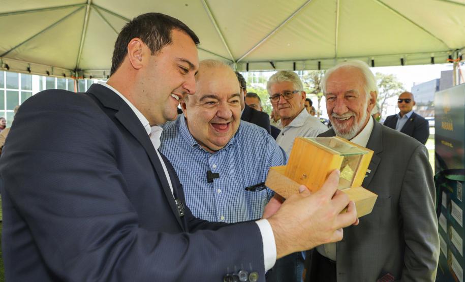 Jardim do Palácio Iguaçu ganha colmeias de abelhas nativas e horta orgânica
