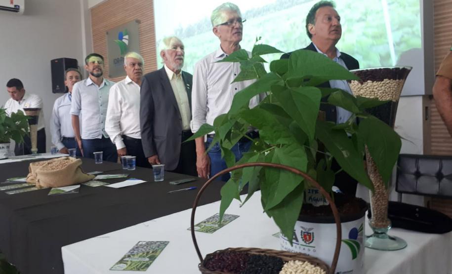 IDR-Paraná lança cultivar de feijão carioca que possibilita maior tempo de armazenamento