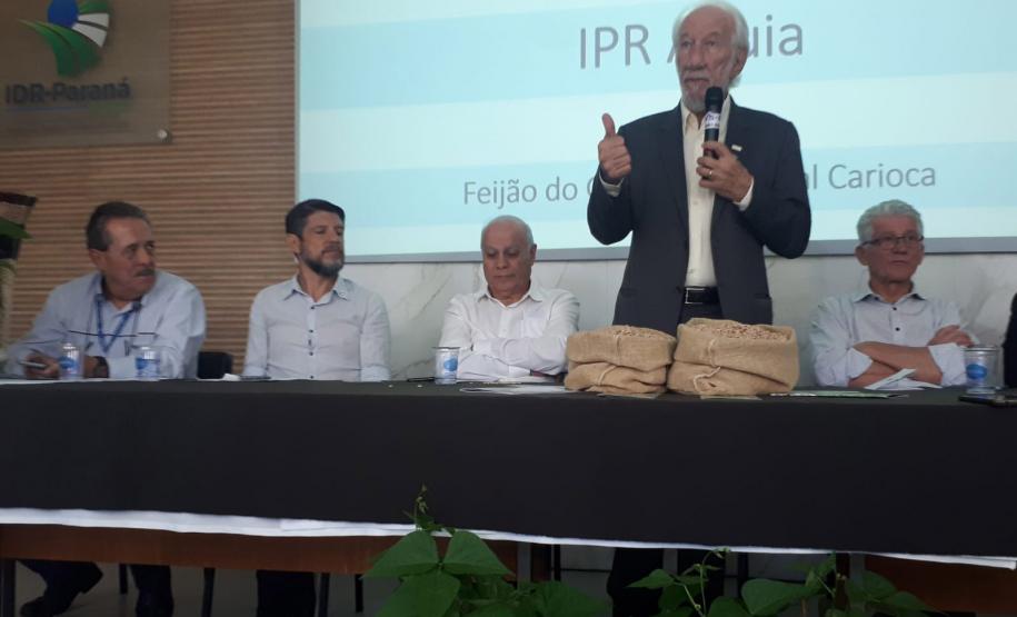 IDR-Paraná lança cultivar de feijão carioca que possibilita maior tempo de armazenamento