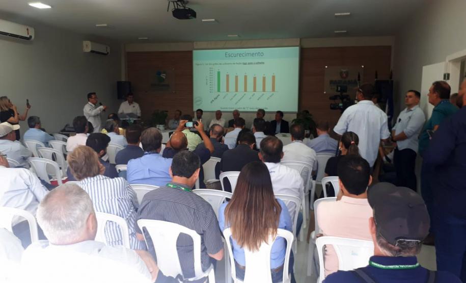 IDR-Paraná lança cultivar de feijão carioca que possibilita maior tempo de armazenamento