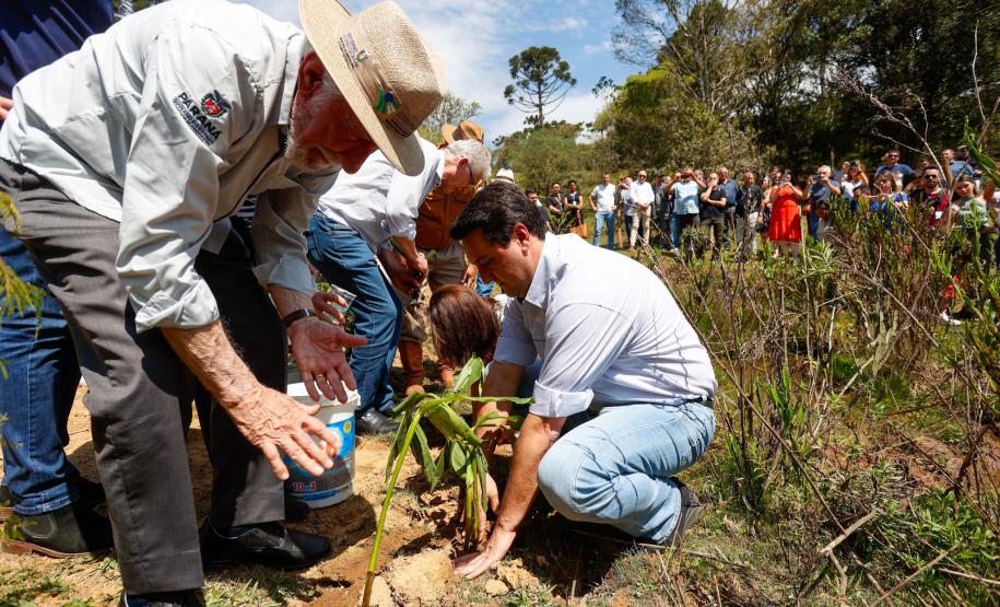 Governador dá início à ação que vai proteger mil nascentes de água até o Dia da Árvore