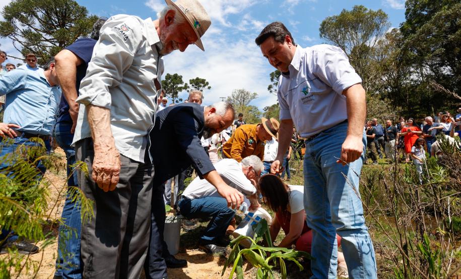 Governador dá início à ação que vai proteger mil nascentes de água até o Dia da Árvore