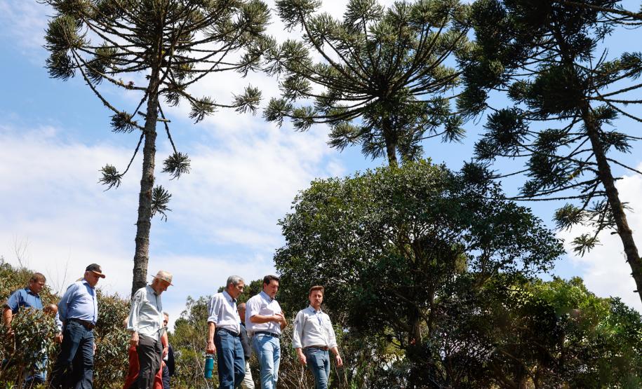 Governador dá início à ação que vai proteger mil nascentes de água até o Dia da Árvore