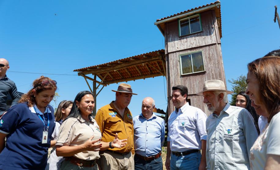 Governador dá início à ação que vai proteger mil nascentes de água até o Dia da Árvore