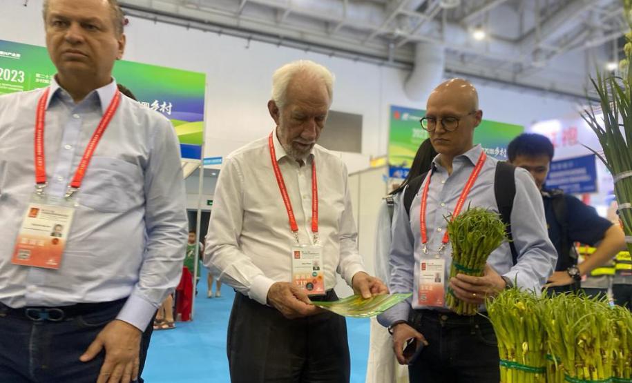 Paraná cria novas pontes comerciais com empresas chinesas de tecnologia