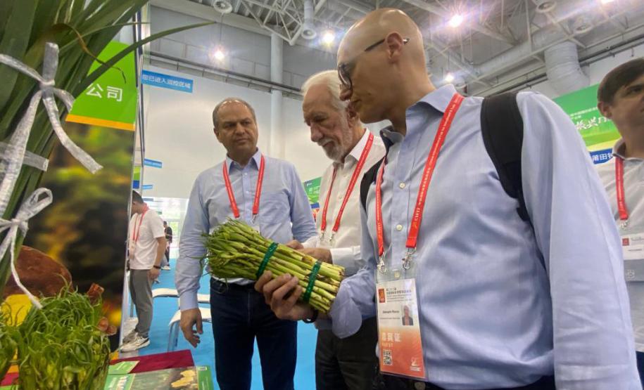 Paraná cria novas pontes comerciais com empresas chinesas de tecnologia