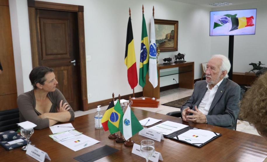 Piana apresenta projetos de infraestrutura e energia à cônsul-geral da Bélgica