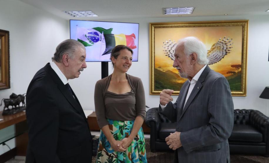 Piana apresenta projetos de infraestrutura e energia à cônsul-geral da Bélgica