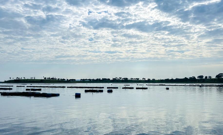 Piana recebe ministro da Pesca e apresenta produtores de tilápia do Norte do Paraná