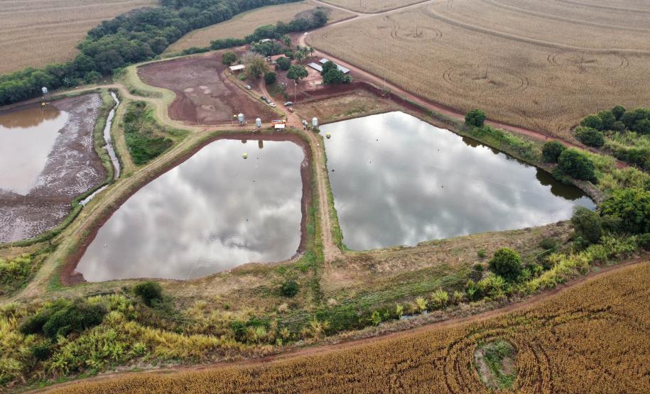 Piana recebe ministro da Pesca e apresenta produtores de tilápia do Norte do Paraná