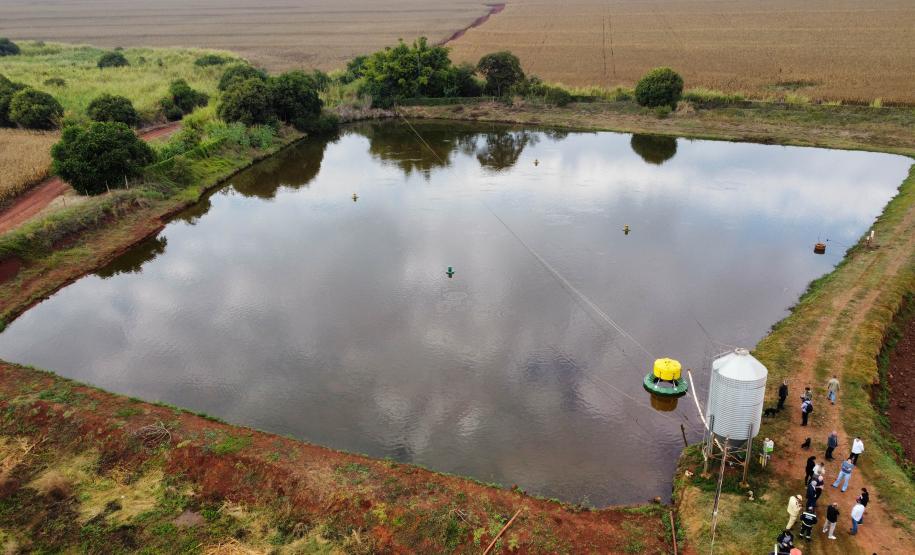 Piana recebe ministro da Pesca e apresenta produtores de tilápia do Norte do Paraná