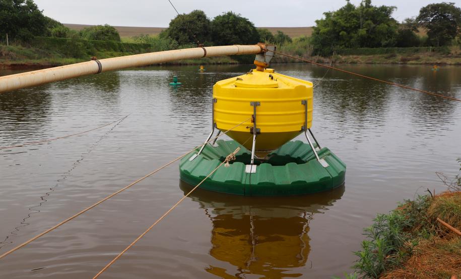 Piana recebe ministro da Pesca e apresenta produtores de tilápia do Norte do Paraná