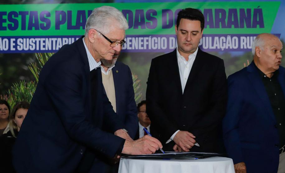 Programa do Estado vai atender pessoas em vulnerabilidade com casas rurais sustentáveis