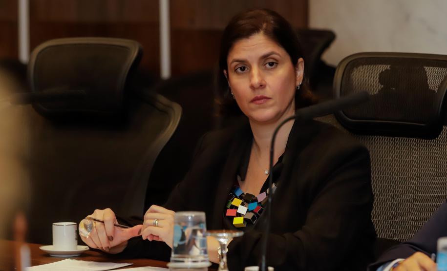 Piana destaca desenvolvimento sustentável do Paraná ao embaixador da Bélgica