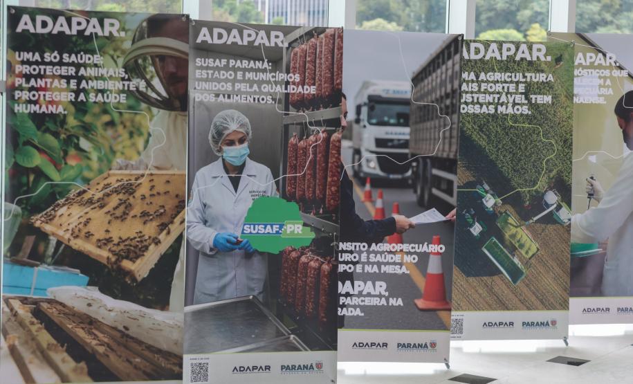 Com investimento de R$ 9 milhões, Estado renova frota da Adapar com 70 veículos novos