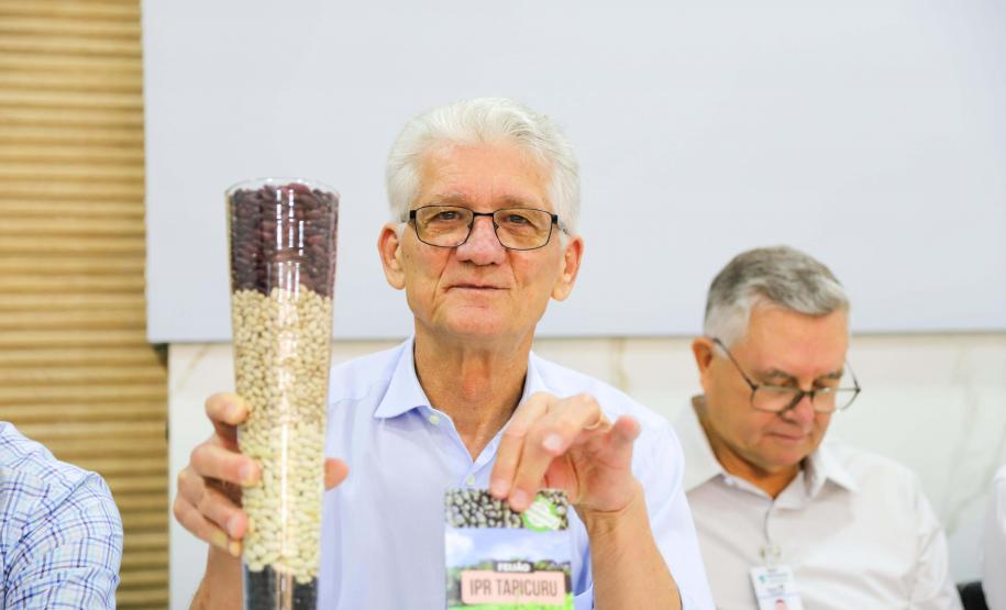 IPR Tapicuru: com muita ciência, Paraná entrega nova variedade de feijão para o Brasil