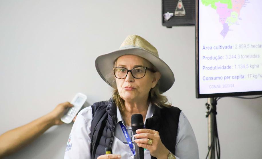 IPR Tapicuru: com muita ciência, Paraná entrega nova variedade de feijão para o Brasil