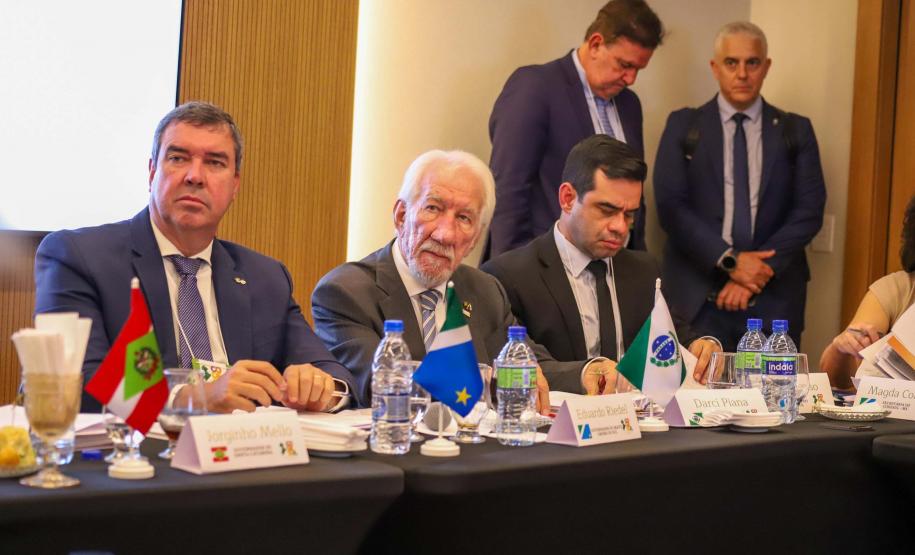 Estados do Sul fecham planejamento estratégico e parceria para eventos climáticos