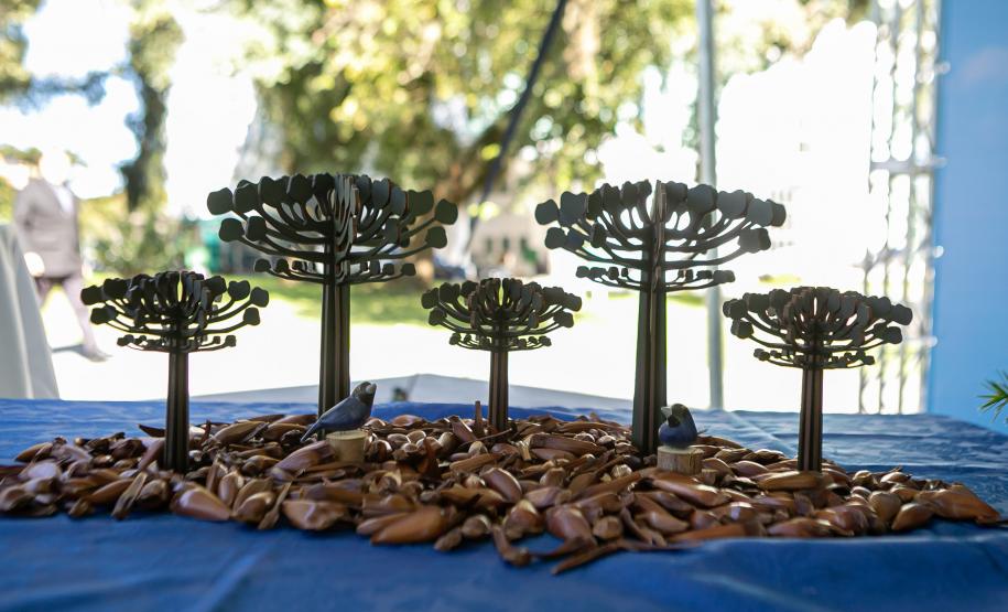 Jardim do Palácio Iguaçu recebe clone de araucária de 700 anos