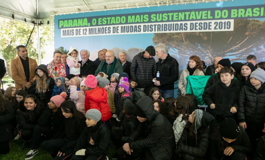 Jardim do Palácio Iguaçu recebe clone de araucária de 700 anos