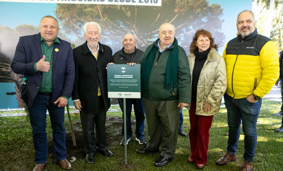 Jardim do Palácio Iguaçu recebe clone de araucária de 700 anos