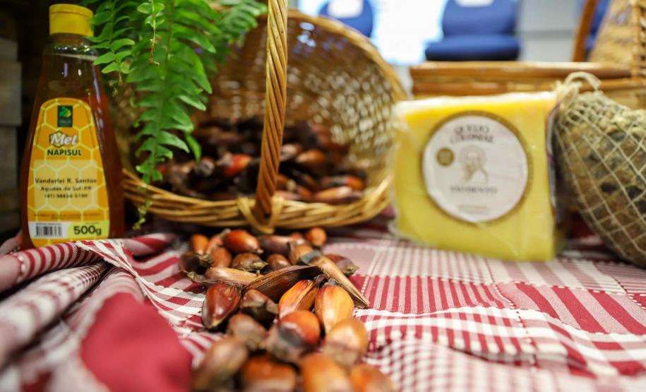 Paraná recebe encontro nacional para debater incentivo ao turismo rural no Brasil