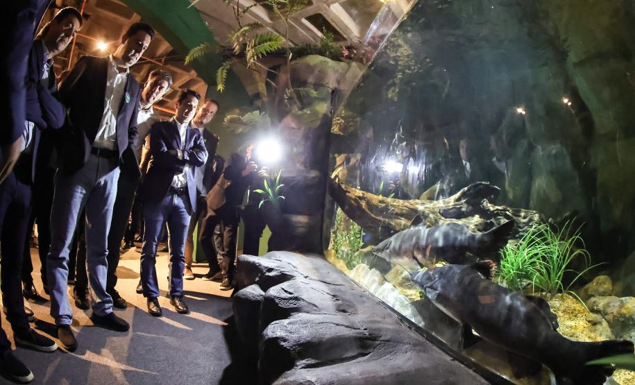 Novo atrativo: Foz do Iguaçu ganha um dos maiores aquários da América do SulNovo atrativo: Foz do Iguaçu ganha um dos maiores aquários da América do Sul