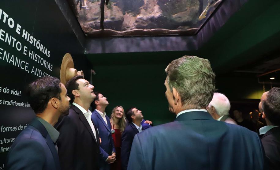 Novo atrativo: Foz do Iguaçu ganha um dos maiores aquários da América do SulNovo atrativo: Foz do Iguaçu ganha um dos maiores aquários da América do Sul