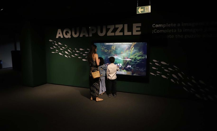 Novo atrativo: Foz do Iguaçu ganha um dos maiores aquários da América do SulNovo atrativo: Foz do Iguaçu ganha um dos maiores aquários da América do Sul