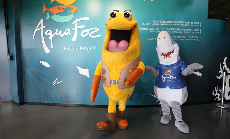 Novo atrativo: Foz do Iguaçu ganha um dos maiores aquários da América do SulNovo atrativo: Foz do Iguaçu ganha um dos maiores aquários da América do Sul