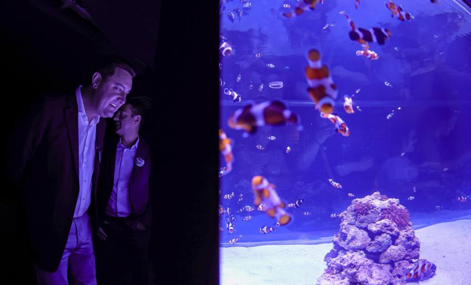 Novo atrativo: Foz do Iguaçu ganha um dos maiores aquários da América do SulNovo atrativo: Foz do Iguaçu ganha um dos maiores aquários da América do Sul