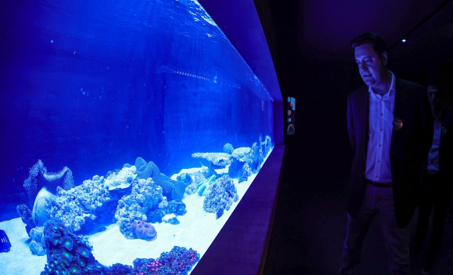 Novo atrativo: Foz do Iguaçu ganha um dos maiores aquários da América do SulNovo atrativo: Foz do Iguaçu ganha um dos maiores aquários da América do Sul