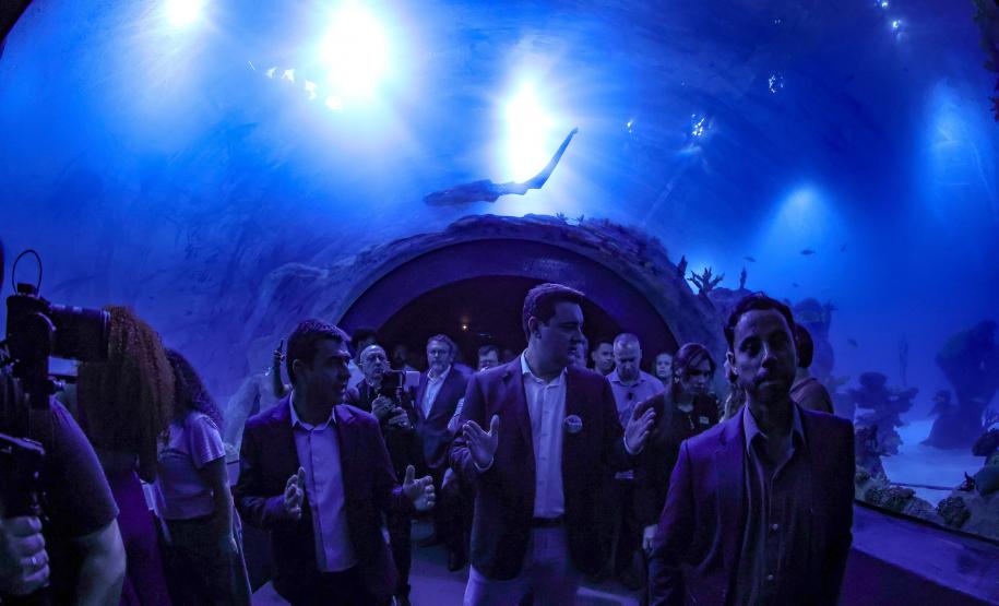 Novo atrativo: Foz do Iguaçu ganha um dos maiores aquários da América do SulNovo atrativo: Foz do Iguaçu ganha um dos maiores aquários da América do Sul