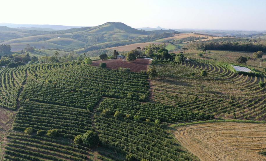 Lote vencedor da 23ª edição do Concurso Café Qualidade é certificado pela Adapar