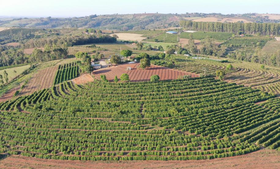 Lote vencedor da 23ª edição do Concurso Café Qualidade é certificado pela Adapar